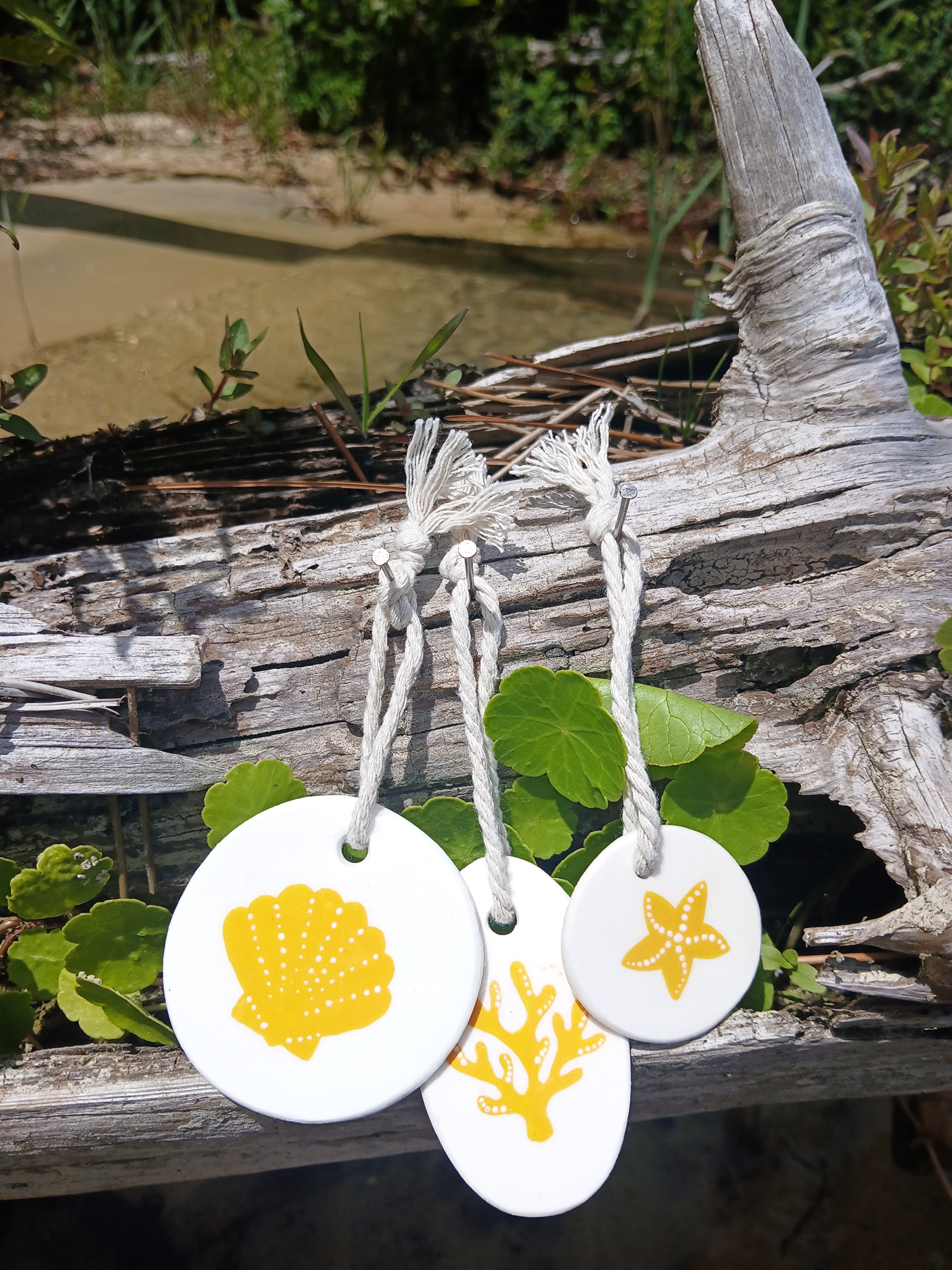 Trio marin coquillage, corail et étoile de mer en jaune, suspendus à du bois flotté